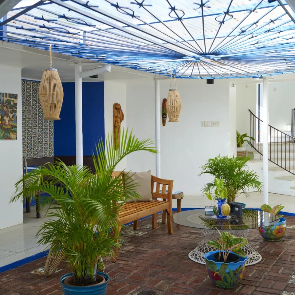 Potted palms and plants in the courtyard at Bay Vista Villa